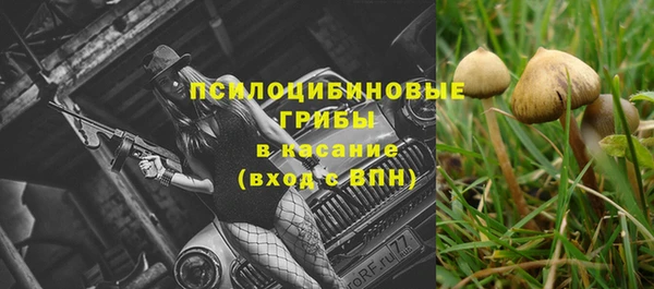 молекула духа Алексеевка
