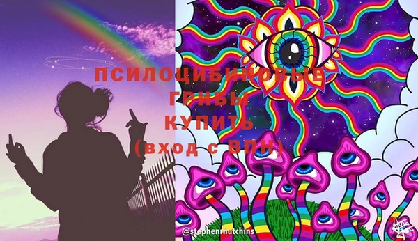 молекула духа Алексеевка